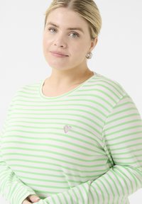 Groen-en-wit gestreepte longsleeve shirt met een ronde halslijn en een kleine zilveren hartborduursel op de borst. Zachte stoftextuur.