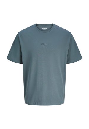 KENJI TEE SS CREW NECK - T-shirt con stampa - grau