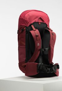 Rode rugzak voor buitengebruik met verstelbare schouderbanden, gewatteerd rugpaneel en een heupband. Beschikt over een bovenklep en zijzakken voor extra opbergruimte.