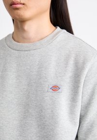 Felpa grigia realizzata in morbido cotone, con colletto a coste e una piccola etichetta multicolore "Dickies" sul petto.