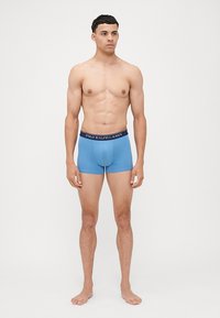 Mėlyni bokseriai su prigludusia forma, turintys tamsiai mėlyną juostos dalį su "POLO RALPH LAUREN" tekstu. Lygus audinio pateikimas.