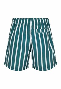 Shorts de bain rayés vert et blanc à rayures verticales avec taille élastique et poche arrière à fermeture Velcro.