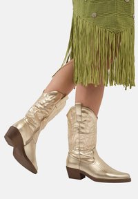 Botas vaqueras metálicas doradas con un acabado texturizado, tacón bajo y cremallera lateral. Presentan costuras decorativas y un diseño de punta redondeada.