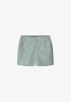 Herren-Schwimmshorts aus einem hellgrünen Stoff mit einem geometrischen blauen Muster. Sie verfügen über einen elastischen Bund und einen Knopfverschluss an der Vorderseite.