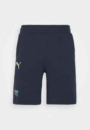 FUSSBALL STREET SHORTS - Pantaloncini sportivi - parisian night
