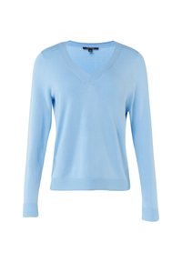 Helles blaues V-Ausschnitt-Pullover aus weichem Stoff, mit gerippten Bündchen und Saum. Das Design zeichnet sich durch eine dezente Textur und eine taillierte Silhouette aus.