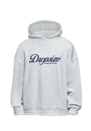 Light gray hooded sweatshirt with elastic cuffs and hem, featuring "Dropsize Studio Collection" embroidered in dark blue on the front.