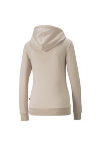 Sweat à capuche beige clair avec une texture lisse. Comprend des manches longues, des poignets côtelés et une coupe décontractée. Vue de dos montrant le design de la capuche.