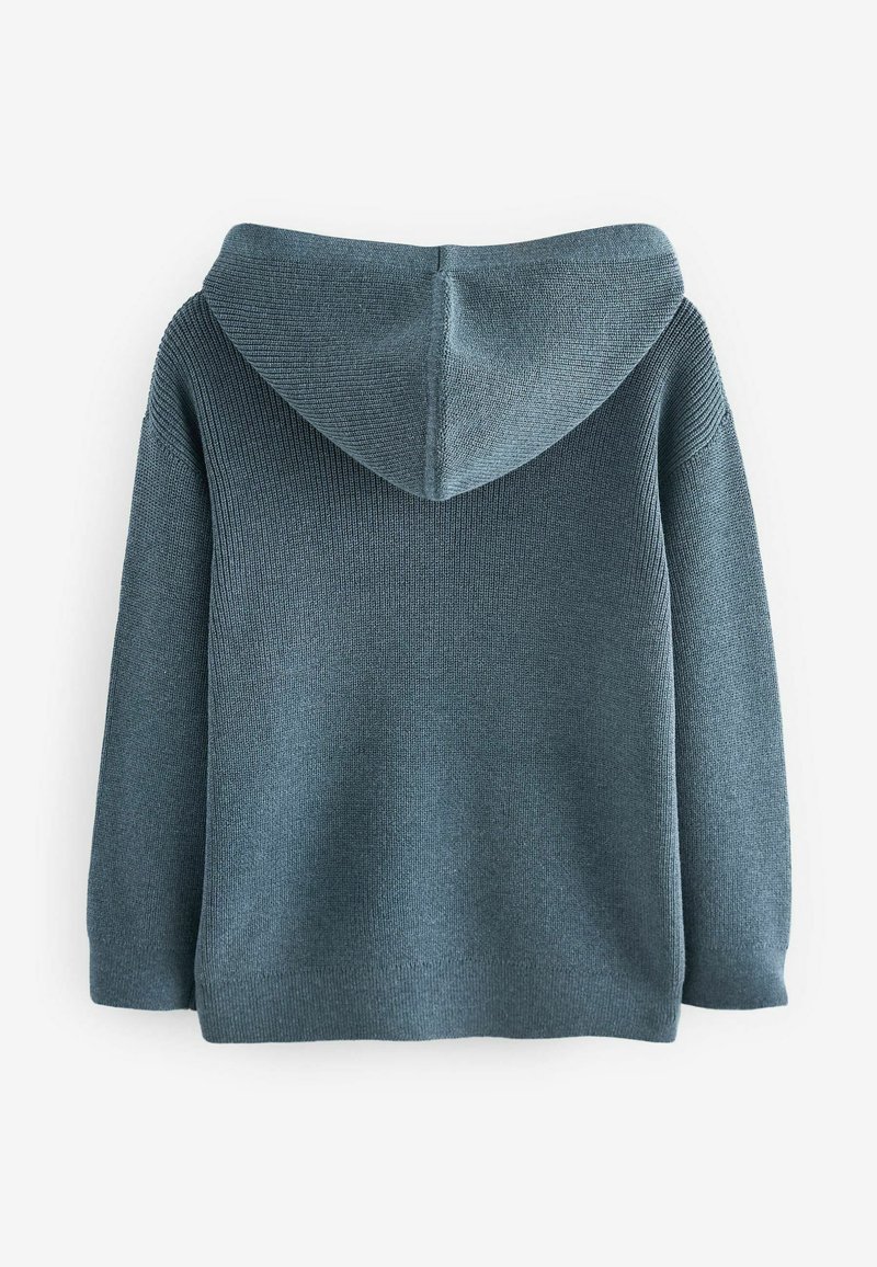 Pull à Capuche Next Homme – Bleu, Taille L, Coton, Style Sweat à Enfiler