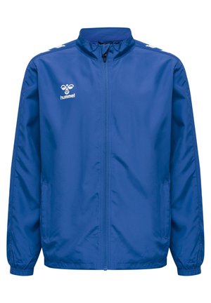 Blauwe lichtgewicht jas met hoge kraag, lange mouwen, elastische manchetten en een logo op de borst. Gekozen textuur, geen zichtbare patronen.