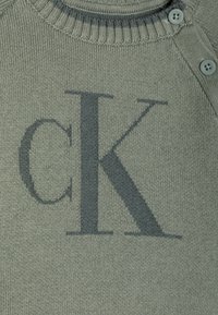 Žalias megztinis su raukšlėtu apykakle, turintis didelį tamsiai pilką "CK" logotipą. Uždengtas dviem pilkais mygtukais petyje.