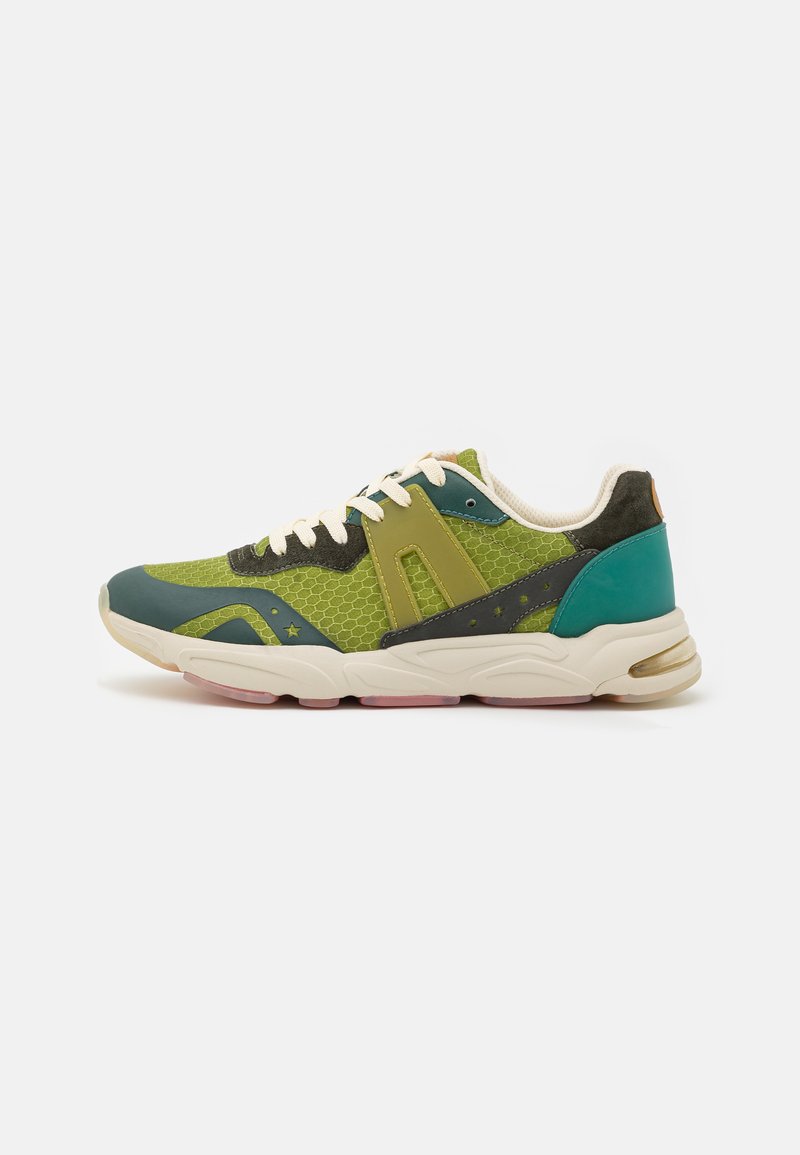 Damen Sneaker | Scotch & Soda LOU Sneaker low green/multicolor/grün - PK54990 Damen Sneaker | Scotch & Soda LOU Sneaker low green/multicolor/grün - PK54990