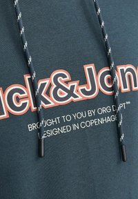 Jack & Jones JORLAKEWOOD HOOD - Felpa con cappuccio - magical forest