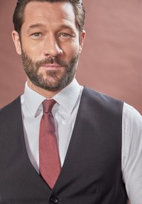 Mies, joka pukee päällään tumman liivin valkoisen paidan ja tekstuurilla varustetun punaisen solmion kanssa, lyhyt parta ja taakse kammatut hiukset neutraalissa taustassa.