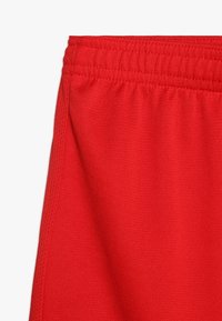 Pantalones cortos rojos con cintura elástica, con paneles laterales texturizados y cuerpo de tela suave, mostrados sobre un fondo blanco.