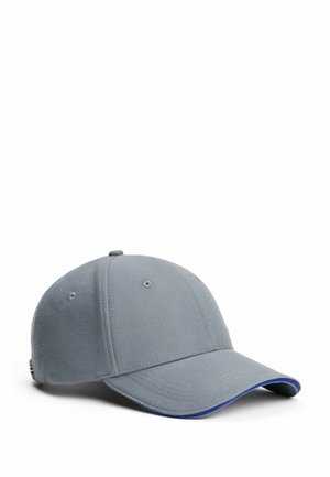 CORP PANEL - Pet - overcast grey