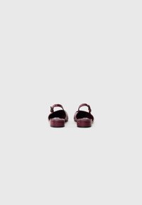 Un paio di ballerine slingback in pelle rosso scuro con tacco basso, viste da dietro su uno sfondo bianco.