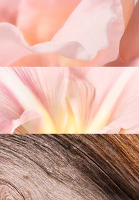Tre segmenter: myke rosa kronblader med jevn tekstur, opplyst midtpunkt, og et nærbilde av en rustikk treoverflate med varme toner og årringer.