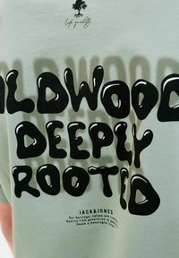 Šviesiai žalia medvilninė marškinėliai su dideliu juodu, burbuliniu tekstu "WILDWOOD DEEPLY ROOTED" ir mažu medžio logotipu. Paprastas dizainas.