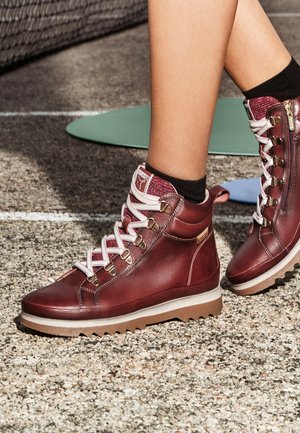 Pikolinos, VIGO - Botines con cordones - bordeaux