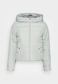 Jasnoszara pikowana kurtka puchowa z kapturem, zamkiem błyskawicznym z przodu oraz dwoma bocznymi kieszeniami na zatrzaski. Gładka, błyszcząca faktura.