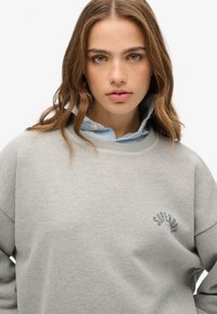 Sudadera gris hecha de un tejido suave, con un escote redondo y el logo "Superdry" bordado en azul oscuro en el pecho.