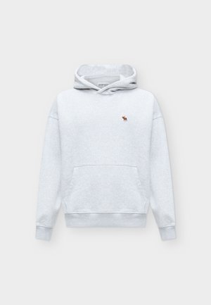 Abercrombie & Fitch, ICON POPOVER - Sweat à capuche - light grey