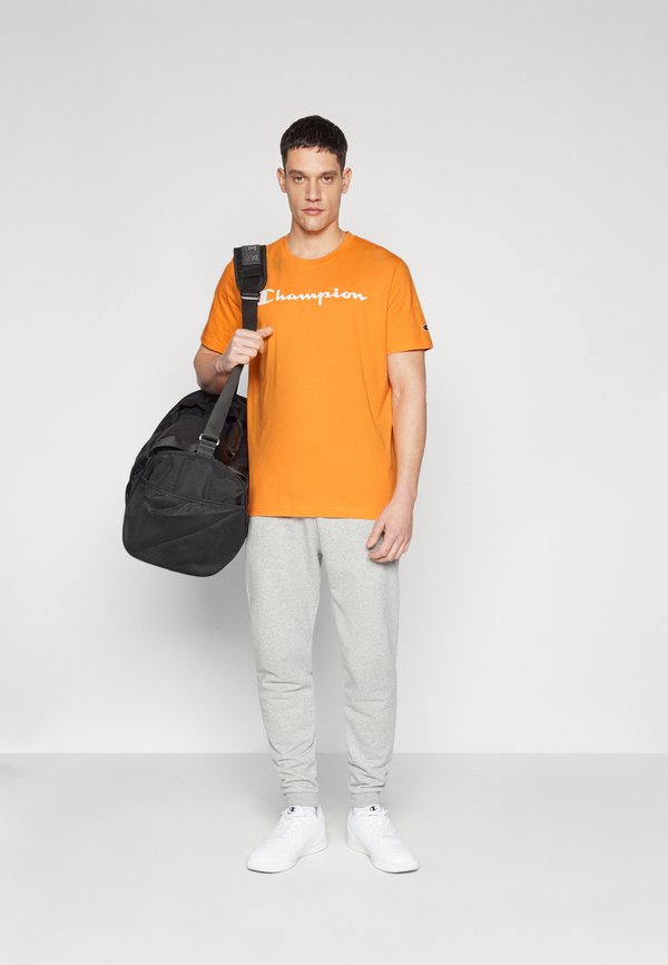 ICONS CREWNECK WITH LARGE LOGO - Print T-shirt - orange2