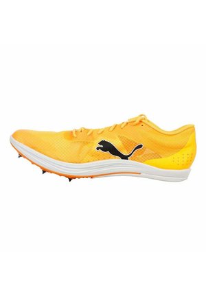 EVOSPEED LONG DISTANCE - Zapatillas con clavos - sun stream-puma black