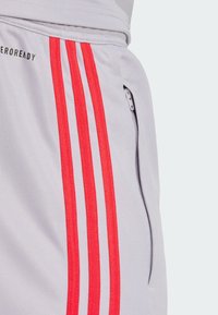 Light gray athletic pants featuring three vertical red stripes, a zippered pocket, and a smooth texture.