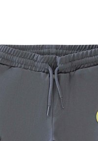 Cars Jeans DIZZY LC SW ANTRA - Cargobroek - antra