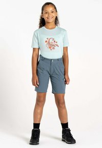 Dare 2B REPRISE  - Outdoor Shorts -  grey