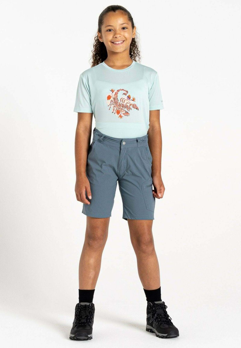 Dare 2B REPRISE  - Outdoor Shorts -  grey