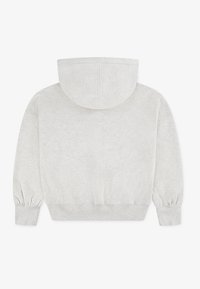 Felpa con cappuccio grigio chiaro, con polsini e vita a coste, vista da dietro su uno sfondo bianco.