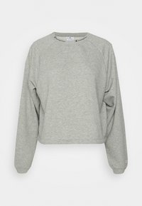 Felpa grigia chiaro con maniche lunghe a raglan, orlo corto e scollatura rotonda. Caratterizzata da ricamo del logo sul collo e sulla manica.