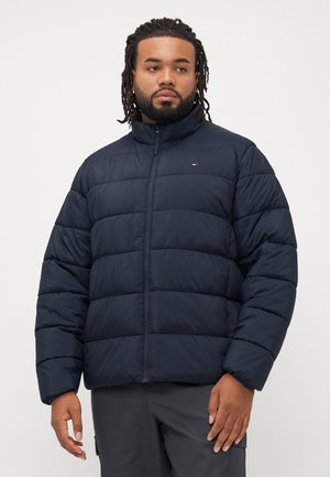 NEW STAND COLLAR - Winterjacke - desert sky