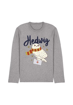 Gray long-sleeve shirt with illustration of snowy owl wearing red and yellow scarf holding a letter, with "Hedwig" written above.
