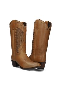Tan leren cowboylaarzen met ingewikkeld stikwerk en een vleugelontwerp. Lichtjes spitse neus en een lage hak. Zijkanten met lussen voor eenvoudig aan- en uittrekken.