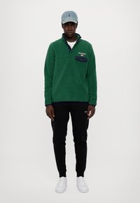 Polo Ralph Lauren LONG SLEEVE UNISEX - Φούτερ - new forest/white