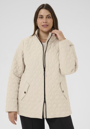 LEINA - Winter jacket - feather gray