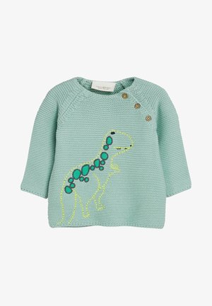 Hellgrüner gestrickter Baby-Pullover mit langen Ärmeln, drei Holzknöpfen nahe dem Halsausschnitt und einem gelben und türkisfarbenen Dinosaurier-Motiv auf der Vorderseite.