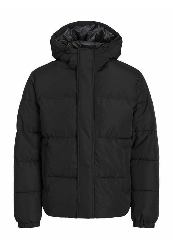 JJEBRADLEY  - Winter jacket2