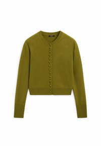 Massimo Dutti Strickjacke - olive