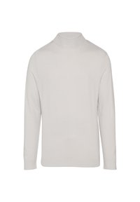 Lichtgrijze coltrui, gebreide textuur, lange mouwen en een aansluitend ontwerp. Minimalistische stijl zonder extra accenten of patronen.