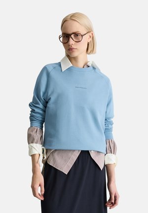 Junge Person mit großen Brillen, hellblauem Sweatshirt über einem gestreiften Hemd mit Kragen und dunklem Rock, stehend vor einfarbigem Hintergrund.