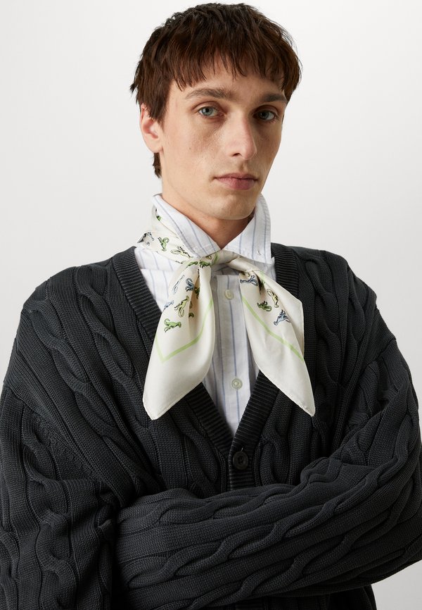 CARTER CARDIGAN - Cardigan2