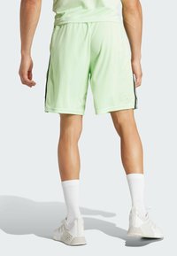 Pantaloni corti sportivi verde chiaro con strisce nere laterali, realizzati in tessuto leggero, indossati con calze bianche a crew e scarpe sportive.