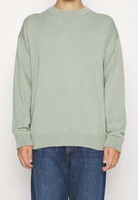Lichtgroene sweatshirt met een ronde hals, geribbelde mouwen en onderzoom. Gemaakt van zachte stof met een losse pasvorm en een klein merkje op de mouw.