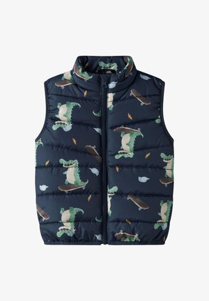 Polsterdatud varrukateta vest tumesinisel toonil, millel on multifilmilik dinosaurusega uisutajate trükk, esitasku ja esikinnis tõmblukuga.