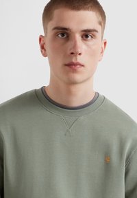 Lichtgroene sweatshirt met een ronde halslijn en oranje logo-detail op de borst, gemaakt van zacht materiaal met een gestructureerde afwerking.